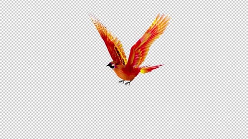 Phoenix Bird - Rouge vif - Boucle volante - Vue latérale - Canal Alpha