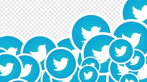 Twitter Bird Logo Social Media Reveal Animation