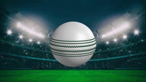 Pelota de cricket girando #2