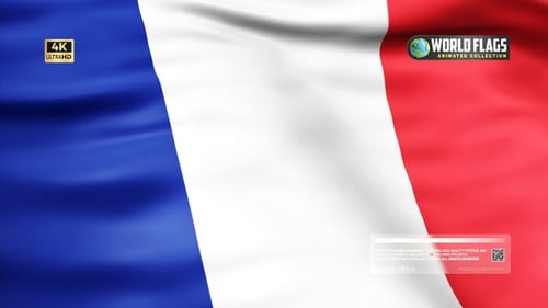 Waving French Flag Realistic Animation