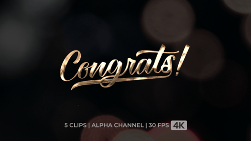 Fluid Metallic Script Congrats Title Animation Pack