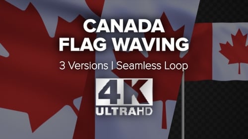 Realistic Canadian Flag Waving Animation with Alpha Channel Loop