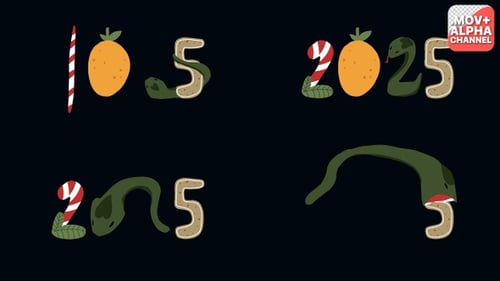 New Year 2025 Decorative Animated Numbers