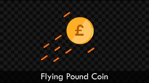 Flying Pound Coin