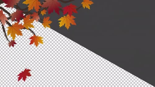 Vector Autumn Leaves Falling with Transparent Background