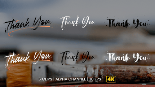 Thank You Brush Text Animation