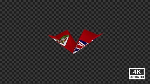 Bermuda Flag 3D Seamless Looping Animation