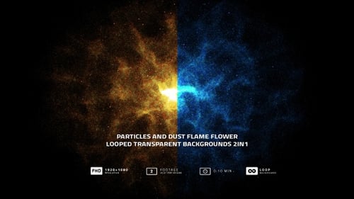 Particles And Dust Flame Flower Looped Transparent Backgrounds 2in1