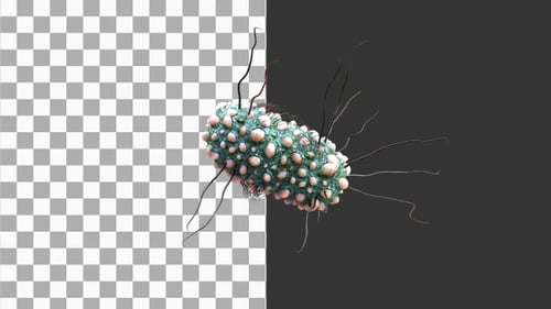 Animación 3D del microbioma de las bacterias intestinales | Alpha Channel