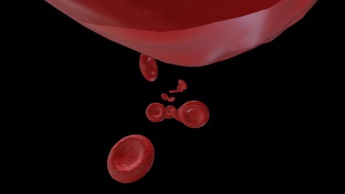 Microscopic Red Blood Cells Fluid Animation Loop