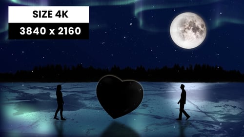 Frozen Night Couple Silhouette 4K