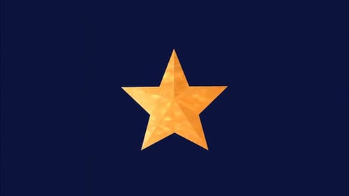Golden Textured Star Rotating Logo Reveal