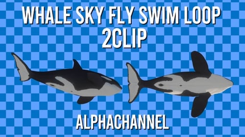 Whale Swim Alpha Loop mit 2 Clips