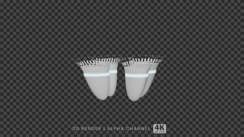 3D Animated Tooth Reveal for Medical and Dental Projects