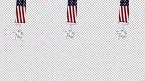 Memorial Day Animation 4K