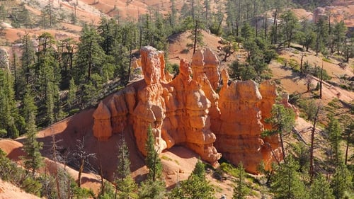 Rock formations and vibrant colors of Bryce Canyon National Park in bright daylight