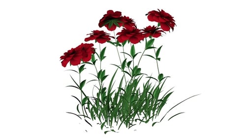 Animated Realistic Red Flowers and Grass Swaying