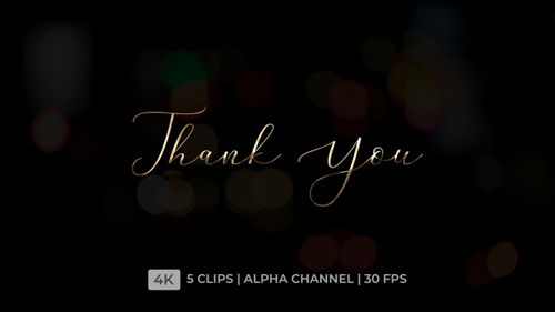 Elegant Gold Calligraphic Thank You Text Reveal