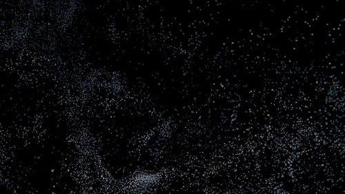 Particles Field