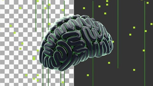 3D Animation of Brain Ai | Alpha Channel