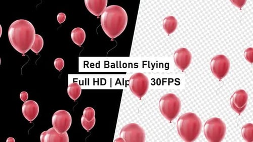 Birthday Balloon Flying Helium Red Balloons Alpha