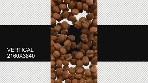 3d Walnut Transitions