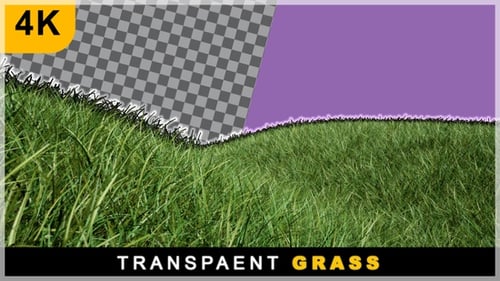 Smooth Drone Zoom Out View Of 3D Realistic Render Grass Field On Transparent Background