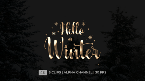 Golden Metallic Script 'Hello Winter' Title Animation