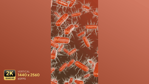 Microscopic Bacteria Cells