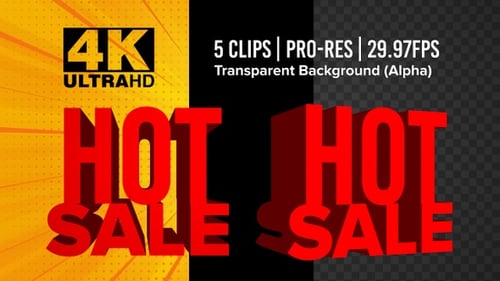 Dynamic Red Hot Sale Text Title Animation
