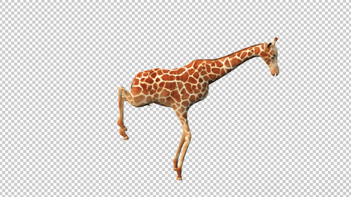 3D Animated Giraffe Walking Cycle