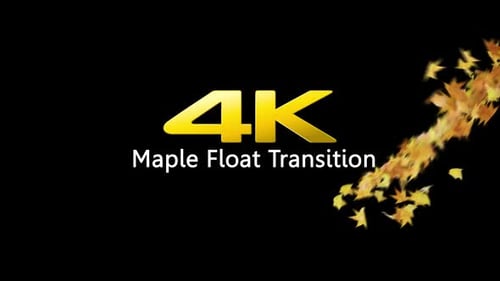 Maple Float-Übergang