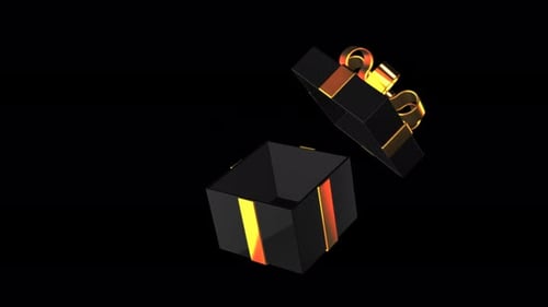 Elegant Black and Gold Gift Box Open and Close Reveal