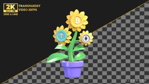 Crypto Investment