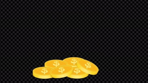 Animated Falling Gold Coins with Dollar Signs