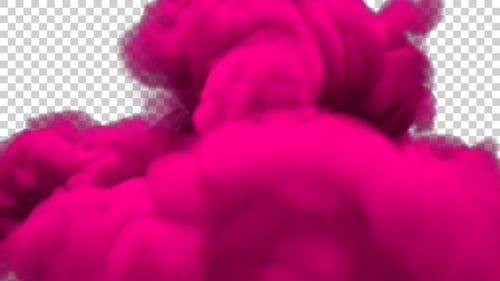 Vibrant Pink Smoke Cloud Burst Alpha Channel Reveal