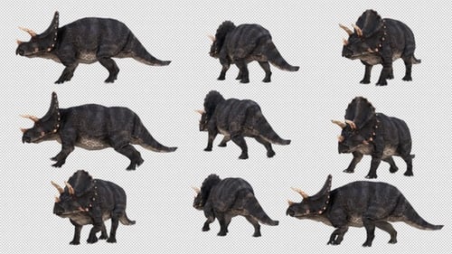 Triceratops-Animationspaket