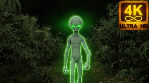 Green Glowing Alien Body Walking into Cannabis Forest Glowing UFO 420 High culture 3D vj loop Trippy