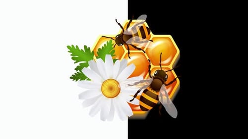 Emblem-Animation mit Bienenwabenblumen