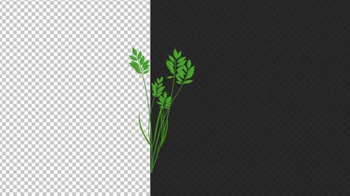 Small Plant In Wind Alpha Looped