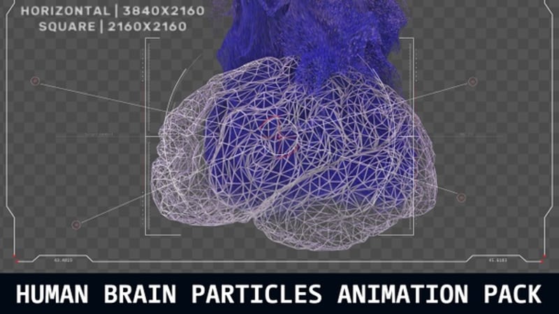Human Brain Particles Animation Pack, Backgrounds Motion Graphics ft ...