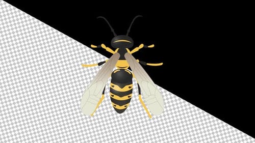 Flying Cartoon Wasp Animation with Transparent Background