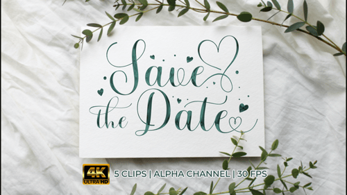 Elegant Save the Date Calligraphy Title Animation with Hearts
