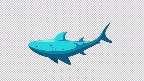 Animated Flat Design Shark Swimming Cycle