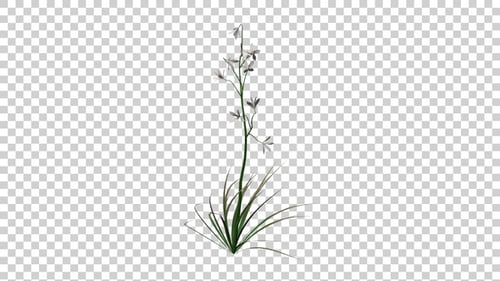 Animated Swaying Plant with Delicate White Flowers