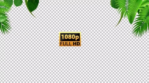 Tropischer Hintergrund | Alpha Channel