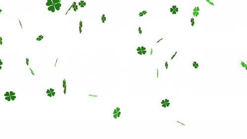 Clover leaves gracefully floating and falling in slow motion for St. Patrick's Day on transparent