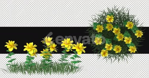 Pack Of 2 Wide Leaf Flowers Moving In The Wind On Alpha Loop