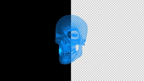 Abstract Blue Skull Rotating Animation