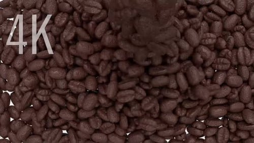 Realistic Coffee Beans Falling and Filling Animation